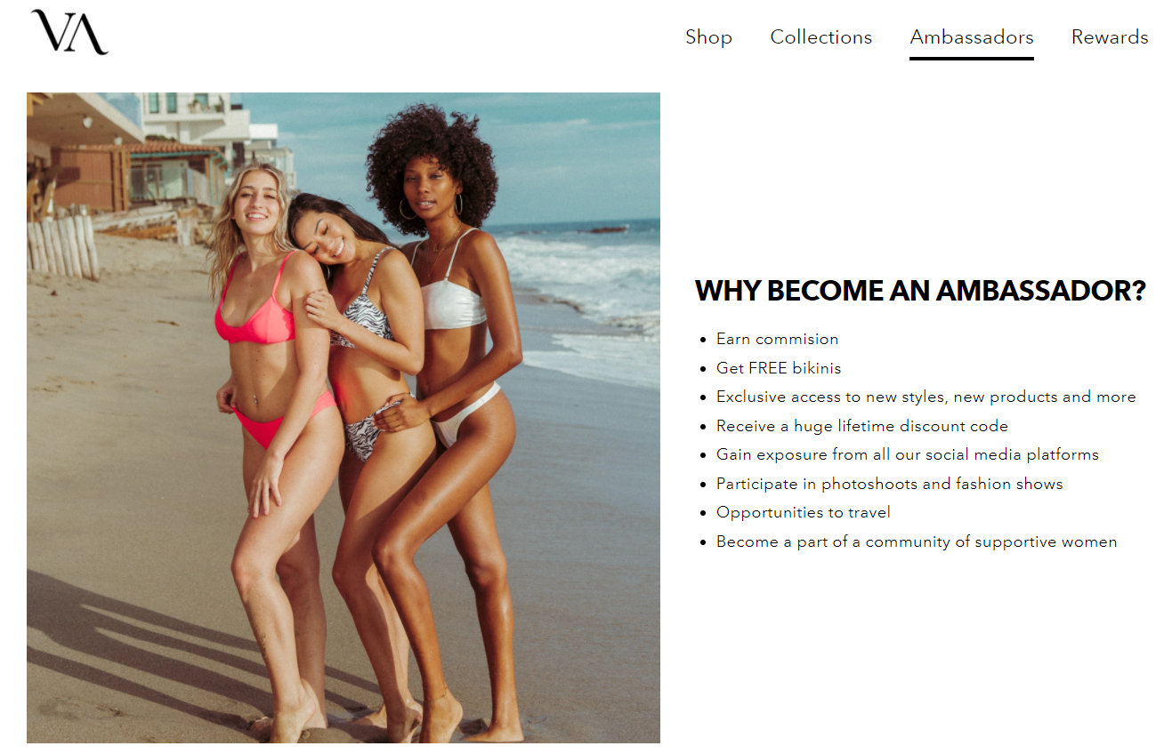 6222bd42e3d14fc234ed5d45 Vitae Ambassador program benefits